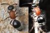 352488 – Photo : Liliane Delattre – France (30)